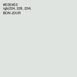 #E0E4E0 - Bon Jour Color Image